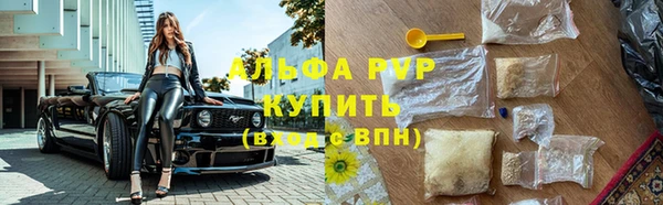 герыч Алексин