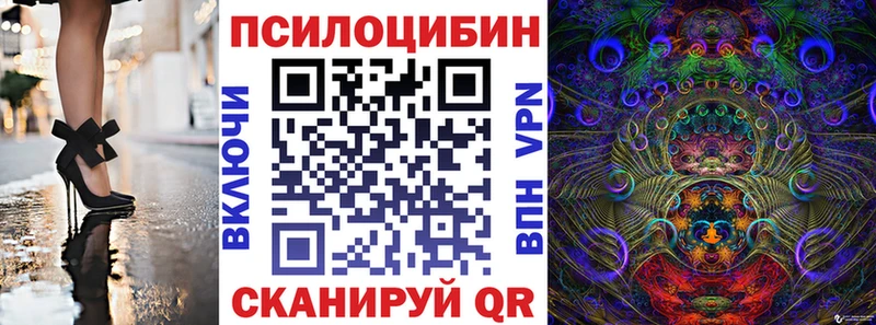 Галлюциногенные грибы ЛСД где найти Нерчинск